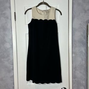 LOFT Scalloped Dress
